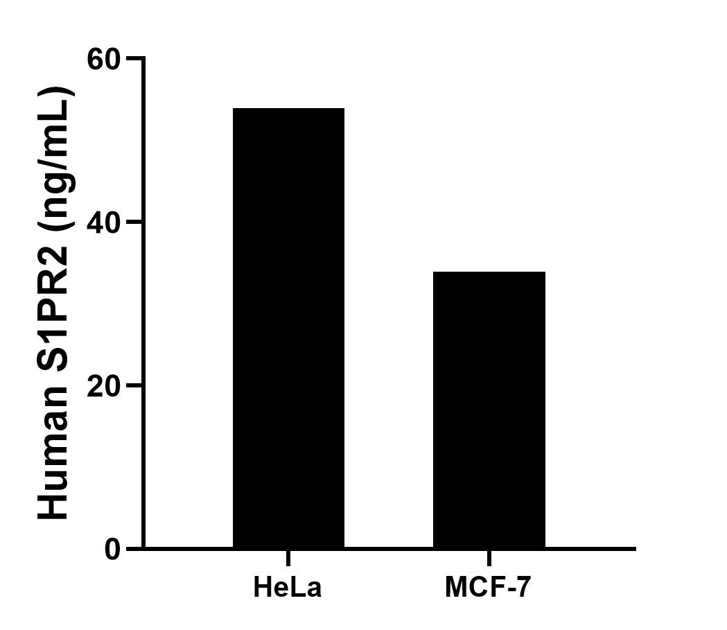 Sample test of MP00831-1